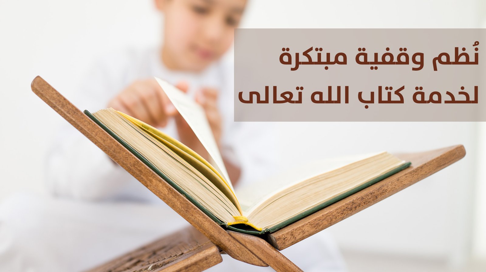 مشهد يجسد المساندة المنظمة